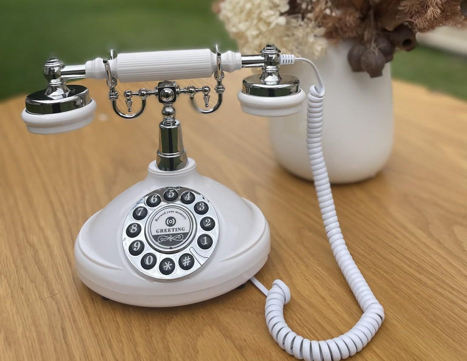 Audio guestbook retro phone for hire